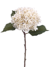 Load image into Gallery viewer, Beige