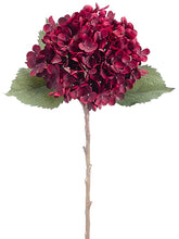Load image into Gallery viewer, Burgundy