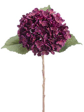 Load image into Gallery viewer, Purple