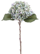 Load image into Gallery viewer, Seafoam Blue