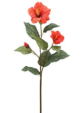 Load image into Gallery viewer, Orange
