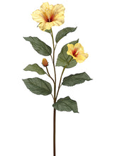 Load image into Gallery viewer, Yellow