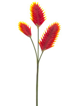 Load image into Gallery viewer, Orange
