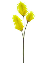 Load image into Gallery viewer, Yellow