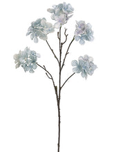 Load image into Gallery viewer, Blue Gray