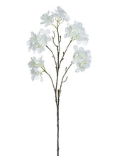 Load image into Gallery viewer, White
