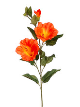 Load image into Gallery viewer, Orange