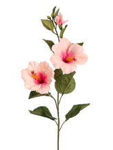 Load image into Gallery viewer, Pink