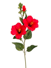 Load image into Gallery viewer, Red