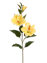 Load image into Gallery viewer, Yellow