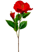 Load image into Gallery viewer, Red
