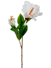 Load image into Gallery viewer, White Beauty