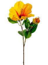 Load image into Gallery viewer, Yellow Orange