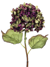 Load image into Gallery viewer, Burgundy Green