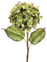 Load image into Gallery viewer, Green Burgundy