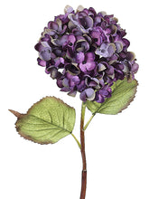 Load image into Gallery viewer, Violet