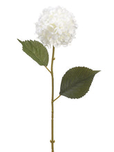 Load image into Gallery viewer, Cream