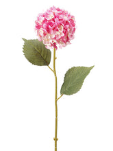 Load image into Gallery viewer, Fuchsia Pink