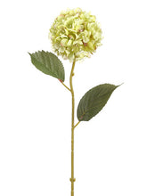 Load image into Gallery viewer, Green