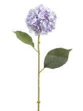 Load image into Gallery viewer, Two Tone Lavender