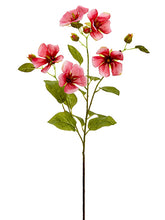 Load image into Gallery viewer, Cerise
