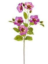 Load image into Gallery viewer, Purple Green