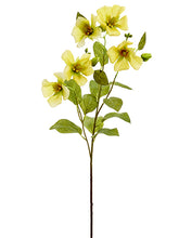 Load image into Gallery viewer, Yellow Green