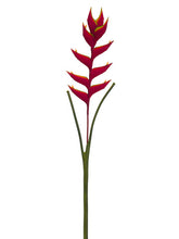 Load image into Gallery viewer, Red