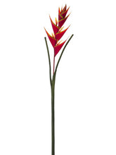 Load image into Gallery viewer, Red