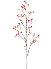 Load image into Gallery viewer, Rubrum