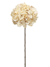 Load image into Gallery viewer, Beige