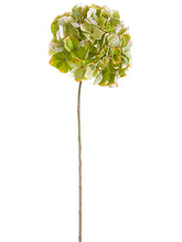 Load image into Gallery viewer, Green Lavender