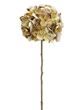 Load image into Gallery viewer, Two Tone Green