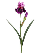 Load image into Gallery viewer, Violet Lilace