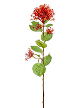 Load image into Gallery viewer, Red