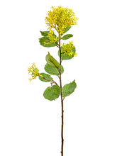 Load image into Gallery viewer, Yellow
