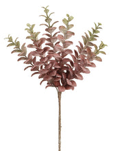 Load image into Gallery viewer, Green Burgundy