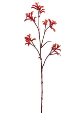 Load image into Gallery viewer, Orange Red