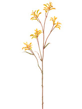 Load image into Gallery viewer, Yellow Brown