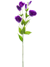 Load image into Gallery viewer, Violet