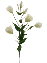 Load image into Gallery viewer, White