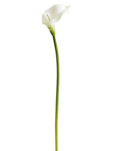 Load image into Gallery viewer, White