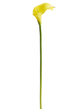 Load image into Gallery viewer, Yellow