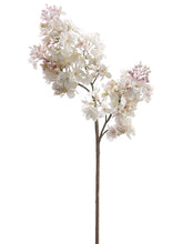 Load image into Gallery viewer, Pink Cream