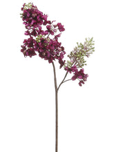 Load image into Gallery viewer, Violet