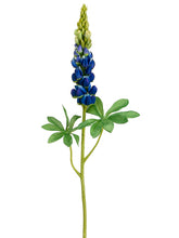 Load image into Gallery viewer, Blue Green