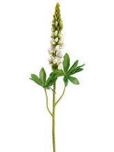 Load image into Gallery viewer, Cream Green