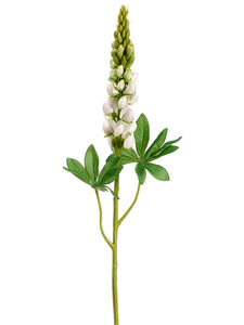 Cream Green