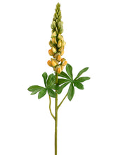 Load image into Gallery viewer, Yellow Green