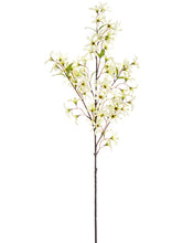 Load image into Gallery viewer, Beige Green